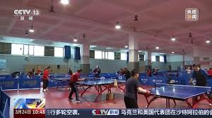 2026世界杯官网 乒乓球台面绿